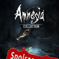 Amnesia: Collection (2016/ENG/Polski/License)