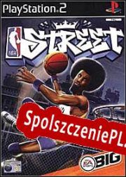 NBA Street (2001/ENG/Polski/RePack from AoRE)