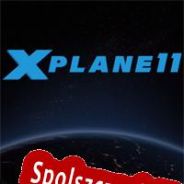 X-Plane 11 (2017/ENG/Polski/RePack from DELiGHT)