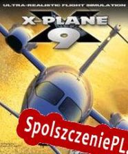 X-Plane 9 (2008/ENG/Polski/Pirate)