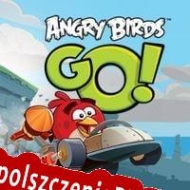 klucz licencyjny Angry Birds Go!