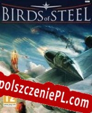 klucz licencyjny Birds of Steel