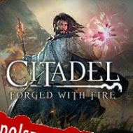 klucz aktywacyjny Citadel: Forged with Fire