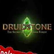 klucz licencyjny Druidstone: The Secret of the Menhir Forest