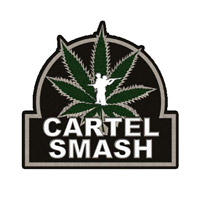 Cartel Smash: Trainer +11 [v1.1]