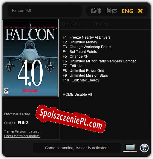 Falcon 4.0: Treinador (V1.0.89)