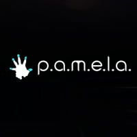 P.A.M.E.L.A.: Trainer +14 [v1.4]