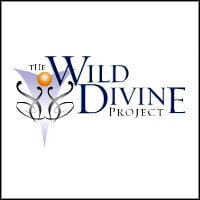 The Journey to Wild Divine: Trainer +9 [v1.9]